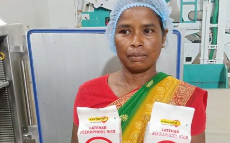 लातेहार के जीराफूल चावल की बढ़ी मांग, गुरुग्राम तक पहुंची स्थानीय उपज