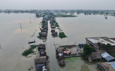 पूर्णिया में बाढ़ का कहर! आठ पंचायतों में घुसा कारी कोशी का पानी, घरों में भी पहुंचा सैलाब