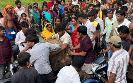 गढ़वा में जमीन की खुदाई में मिला लोहे का संदूक, 40 परिवारों ने ठोका दावा; अंदर क्या है बना रहस्य
