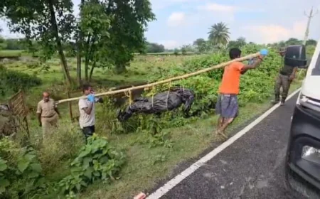 कटिहार में कब्र खोदकर निकाला गया शव, वायरल वीडियो के बाद हत्या की जांच तेज; पत्नी और ससुराल वालों पर गंभीर आरोप