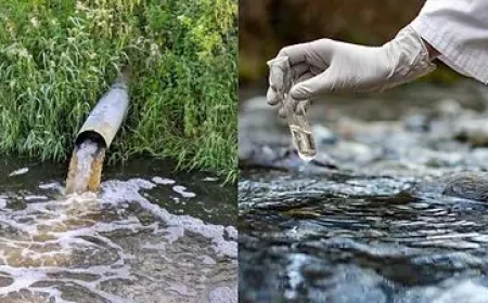 नैनीताल के ज्योलीकोट में दूषित पेयजल मामले पर बड़ा एक्शन, 6 इंजीनियर निलंबित