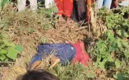 दरभंगा में सुनसान सड़क किनारे खेत से 22 वर्षीय युवती का शव बरामद, FSL टीम ने जुटाए साक्ष्य