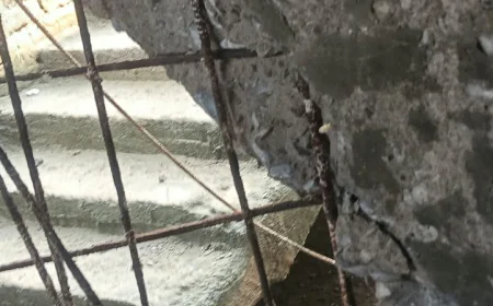 खगड़िया में सरकारी स्कूल की सीढ़ी ध्वस्त, मलबे में दबकर 9 साल की छात्रा की मौत, तीन बच्चे घायल