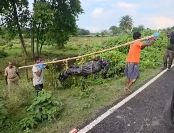 कटिहार में कब्र खोदकर निकाला गया शव, वायरल वीडियो के बाद हत्या की जांच तेज; पत्नी और ससुराल वालों पर गंभीर आरोप