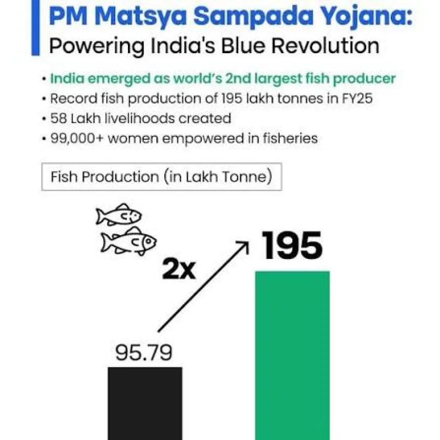 PMMSY के 6 साल: मछली उत्पादन बढ़कर 197.75 लाख टन, 58 लाख लोगों को रोजगार के अवसर