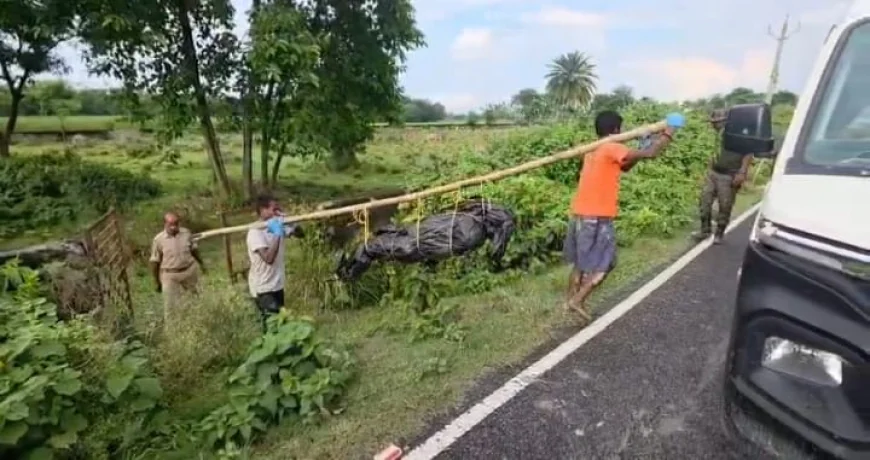 कटिहार में कब्र खोदकर निकाला गया शव, वायरल वीडियो के बाद हत्या की जांच तेज; पत्नी और ससुराल वालों पर गंभीर आरोप
