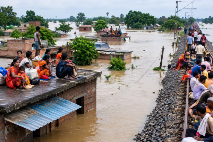 भागलपुर के नवगछिया में बाढ़ का कहर: मदरौनी में 1500 घर डूबे, छतों और रेलवे पटरी पर रहने को मजबूर लोग