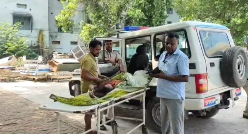 समस्तीपुर में महिला सिपाही की इलाज के दौरान मौत, साथी जवानों ने डॉक्टर पर लगाया लापरवाही का आरोप