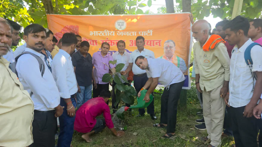 हर एक पेड़ भारत माता के नाम का संदेश, अनीश पंकज विधि महाविद्यालय में हुआ पौधारोपण, सेवा पखवाड़ा के तहत भाजपा नेताओं एवं कार्यकर्ताओं ने पौधे लगाकर पर्यावरण संरक्षण का लिया संकल्प