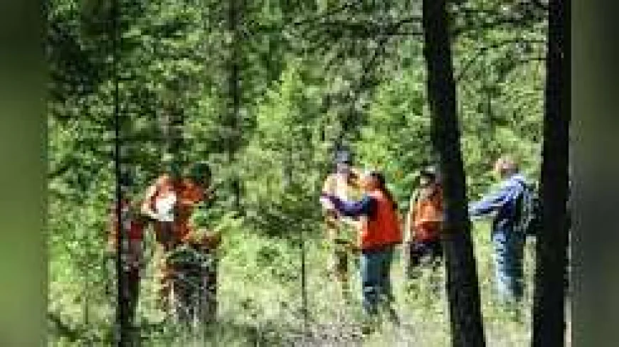 खाली पदों के भरोसे झारखंड के जंगल, अतिरिक्त प्रभार से चल रहा वन विभाग