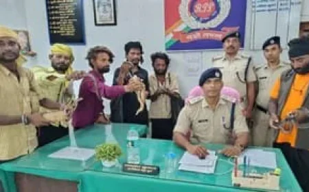 जनसेवा एक्सप्रेस में सांप दिखाकर वसूली, यात्रियों की शिकायत पर आरपीएफ का एक्शन, दिघवारा में छह सपेरे पकड़े गए