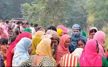 सीतामढ़ी में खेत में बिछे करंट की चपेट में आए 3 लोग, भैंस खोजने निकले ग्रामीणों में मचा हड़कंप
