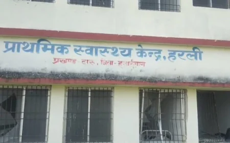 हरली स्वास्थ्य केंद्र में घुसा जंगली हाथी, दरवाजे-खिड़की और सामान तोड़े; दहशत में स्वास्थ्यकर्मी