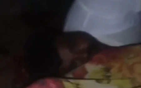 दरभंगा में मुखिया का कथित आपत्तिजनक वीडियो वायरल, आरोपों को तेजनारायण यादव ने बताया साजिश