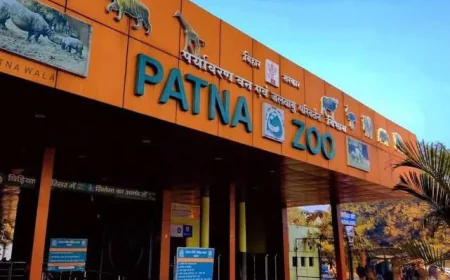 पटना जू में 165 घड़ियाल, 151 शावक; गंडक नदी में छोड़े जाएंगे कई घड़ियाल, सफेद बाघ और गैंडे बने आकर्षण