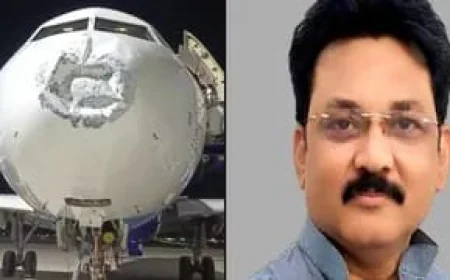 17 हजार फीट की ऊंचाई पर इंडिगो विमान में तेज झटके, यात्रियों में मची चीख-पुकार; LJP नेता बोले- लगा अब नहीं बचेंगे