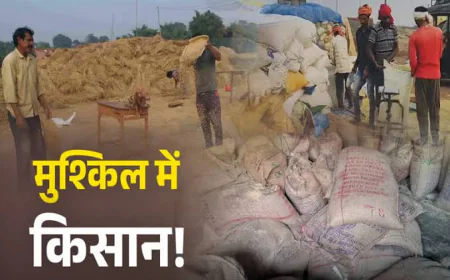 झारखंड में धान बेचने के लिए किसानों को कराना होगा जमीन का सत्यापन और e-KYC, 30 नवंबर तक का समय