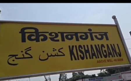 किशनगंज रेलवे स्टेशन के माल गोदाम से फैल रही धूल और प्रदूषण पर उठे सवाल, रेल विभाग की चुप्पी से लोगों में नाराजगी