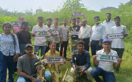गया कॉलेज में NSS ने चलाया स्वच्छता अभियान, किया वृक्षारोपण