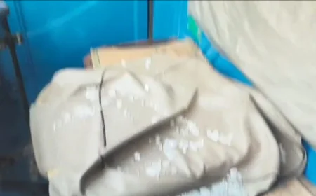पटना के गौरीचक में दिनदहाड़े 1.93 लाख रुपये की लूट, विरोध करने पर ऑटो चालक का पिस्टल से फोड़ा सिर