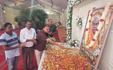 भाजपा के राष्ट्रीय महामंत्री हरीश त्रिवेदी की माताजी के निधन पर डॉ. मनीष पंकज मिश्रा ने जताया शोक