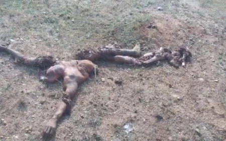 गुमला में हाथियों के झुंड का तांडव, 45 वर्षीय व्यक्ति की दर्दनाक मौत; वन विभाग ने दी सहायता राशि