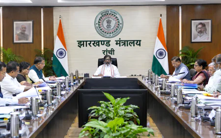 Jharkhand Cabinet Decisions: झारखंड में 7,890 चापाकल लगाने को मंजूरी, 500 बेड का अस्पताल और गोड्डा में बनेगा पशु आहार कारखाना