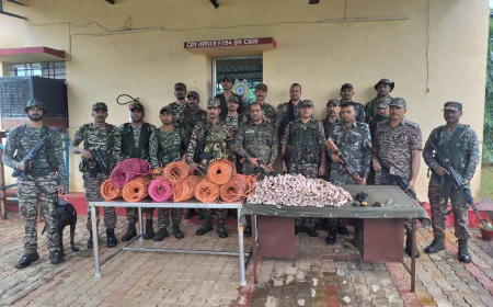 पारसनाथ पहाड़ी पर पुलिस-CRPF का बड़ा सर्च ऑपरेशन, 494 जिलेटिन रॉड समेत भारी मात्रा में विस्फोटक बरामद