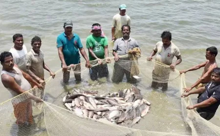 मछली कारोबार में आएगा बड़ा बदलाव: मोबाइल मार्केटिंग और प्रोसेसिंग से बढ़ेगी कमाई, महिलाओं और युवाओं को मिलेंगे नए अवसर