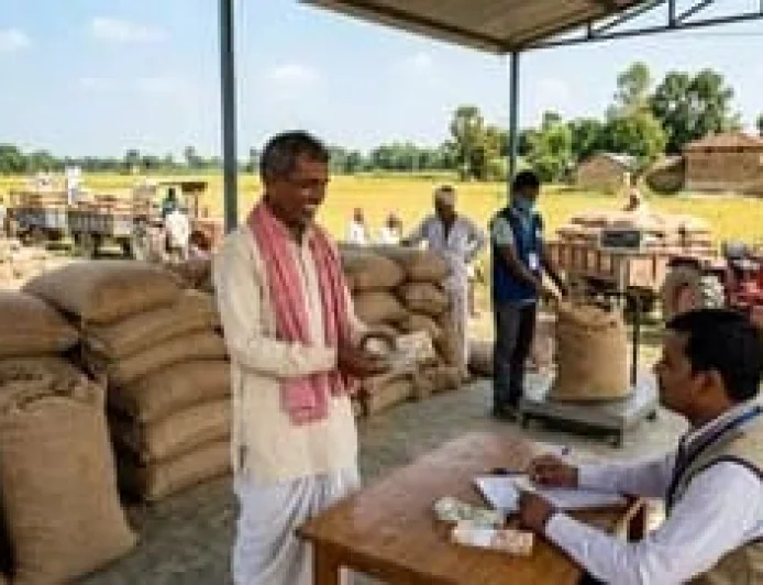 बिहार में 1 नवंबर से धान की सरकारी खरीद, सामान्य धान ₹2441 और ए-ग्रेड ₹2461 प्रति क्विंटल में खरीदा जाएगा