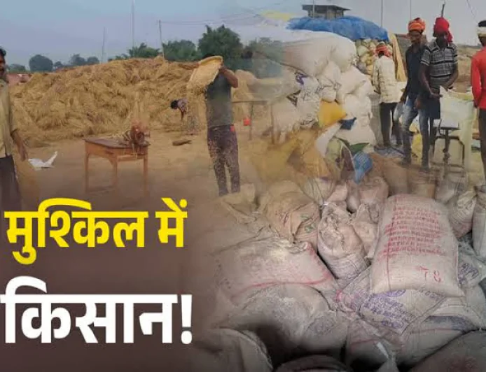 झारखंड में धान बेचने के लिए किसानों को कराना होगा जमीन का सत्यापन और e-KYC, 30 नवंबर तक का समय