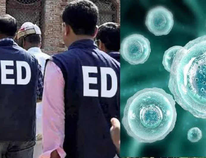 मानव अंडाणु निकालने के अवैध रैकेट पर ED की कार्रवाई, 10 ठिकानों पर छापेमारी; ₹29 लाख नकद जब्त