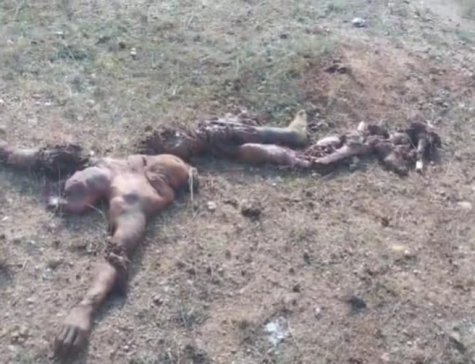 गुमला में हाथियों के झुंड का तांडव, 45 वर्षीय व्यक्ति की दर्दनाक मौत; वन विभाग ने दी सहायता राशि
