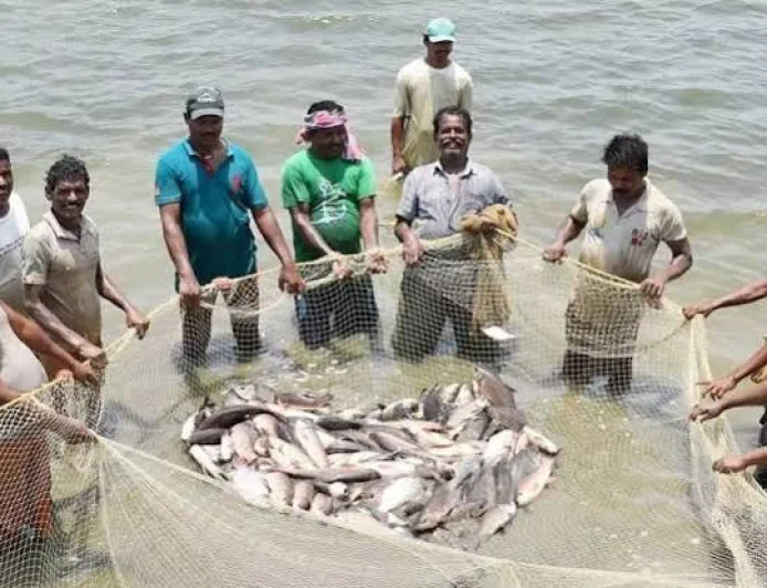 मछली कारोबार में आएगा बड़ा बदलाव: मोबाइल मार्केटिंग और प्रोसेसिंग से बढ़ेगी कमाई, महिलाओं और युवाओं को मिलेंगे नए अवसर
