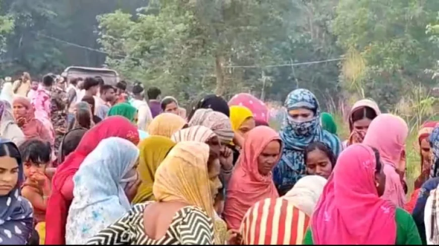 सीतामढ़ी में खेत में बिछे करंट की चपेट में आए 3 लोग, भैंस खोजने निकले ग्रामीणों में मचा हड़कंप