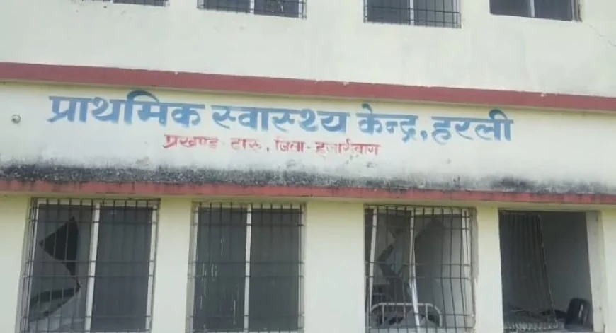 हरली स्वास्थ्य केंद्र में घुसा जंगली हाथी, दरवाजे-खिड़की और सामान तोड़े; दहशत में स्वास्थ्यकर्मी
