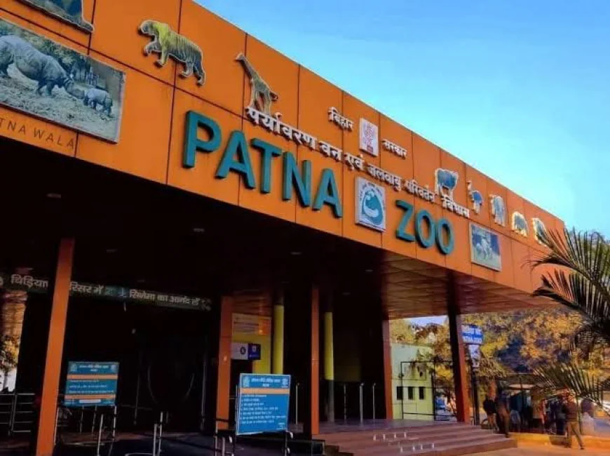 पटना जू में 165 घड़ियाल, 151 शावक; गंडक नदी में छोड़े जाएंगे कई घड़ियाल, सफेद बाघ और गैंडे बने आकर्षण