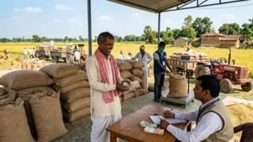 बिहार में 1 नवंबर से धान की सरकारी खरीद, सामान्य धान ₹2441 और ए-ग्रेड ₹2461 प्रति क्विंटल में खरीदा जाएगा