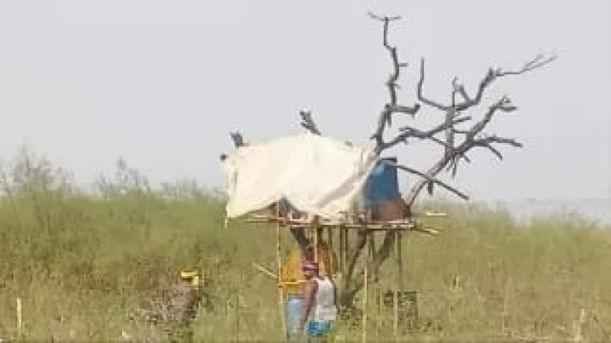 मोकामा में शराब माफिया का ‘आसमान’ वाला खेल! पेड़ पर मचान बनाकर चल रही थी देसी शराब की भट्ठी, 1000 लीटर शराब नष्ट