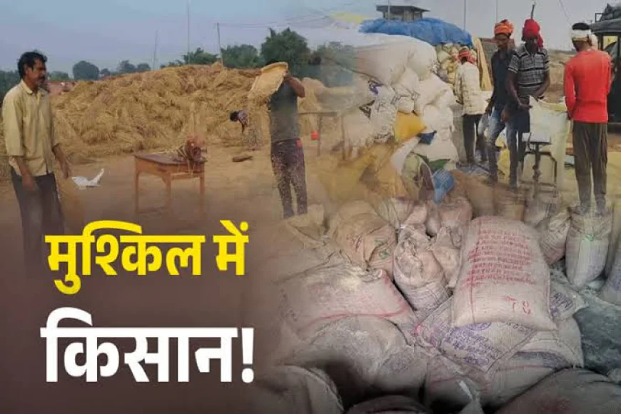 झारखंड में धान बेचने के लिए किसानों को कराना होगा जमीन का सत्यापन और e-KYC, 30 नवंबर तक का समय