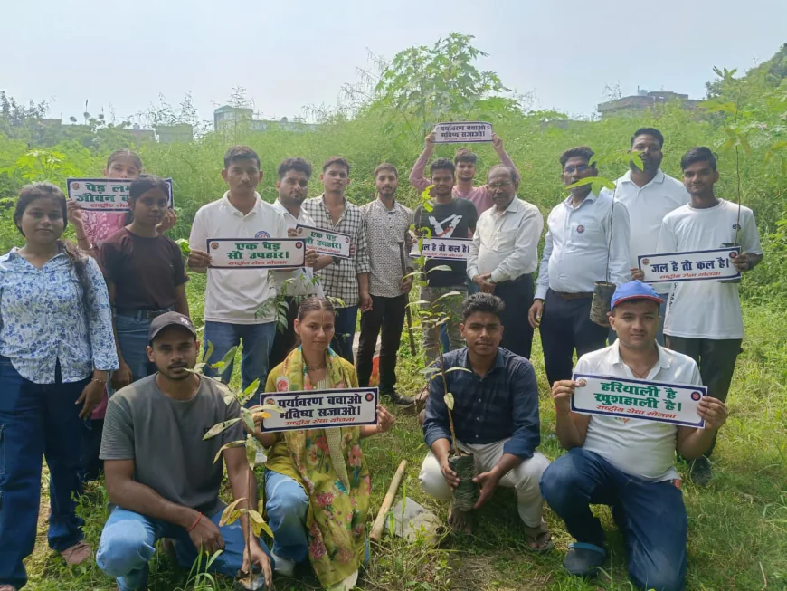 गया कॉलेज में NSS ने चलाया स्वच्छता अभियान, किया वृक्षारोपण