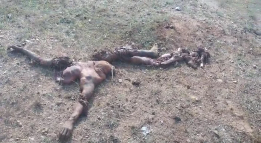 गुमला में हाथियों के झुंड का तांडव, 45 वर्षीय व्यक्ति की दर्दनाक मौत; वन विभाग ने दी सहायता राशि
