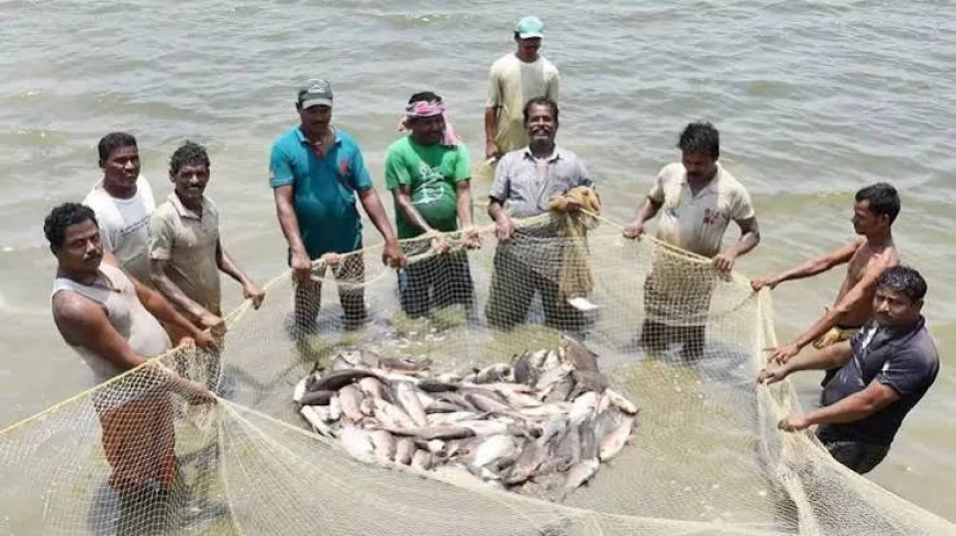 मछली कारोबार में आएगा बड़ा बदलाव: मोबाइल मार्केटिंग और प्रोसेसिंग से बढ़ेगी कमाई, महिलाओं और युवाओं को मिलेंगे नए अवसर